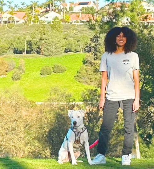 In Person Private Sessions Trusted Rancho Santa Margarita Dog Training Services