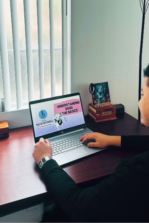 Online Courses Self Paced Dog Training