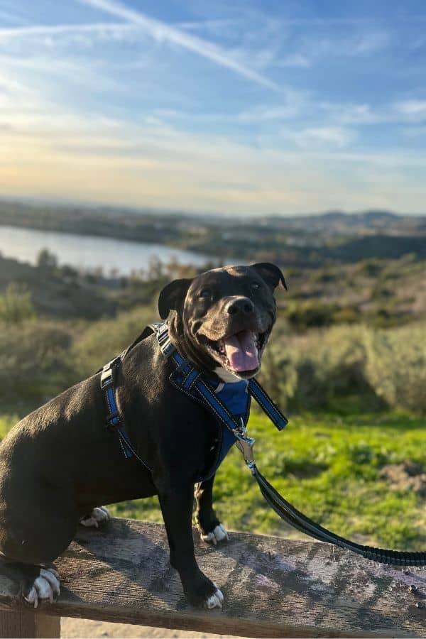 Rancho Santa Margarita In Person Private Sessions