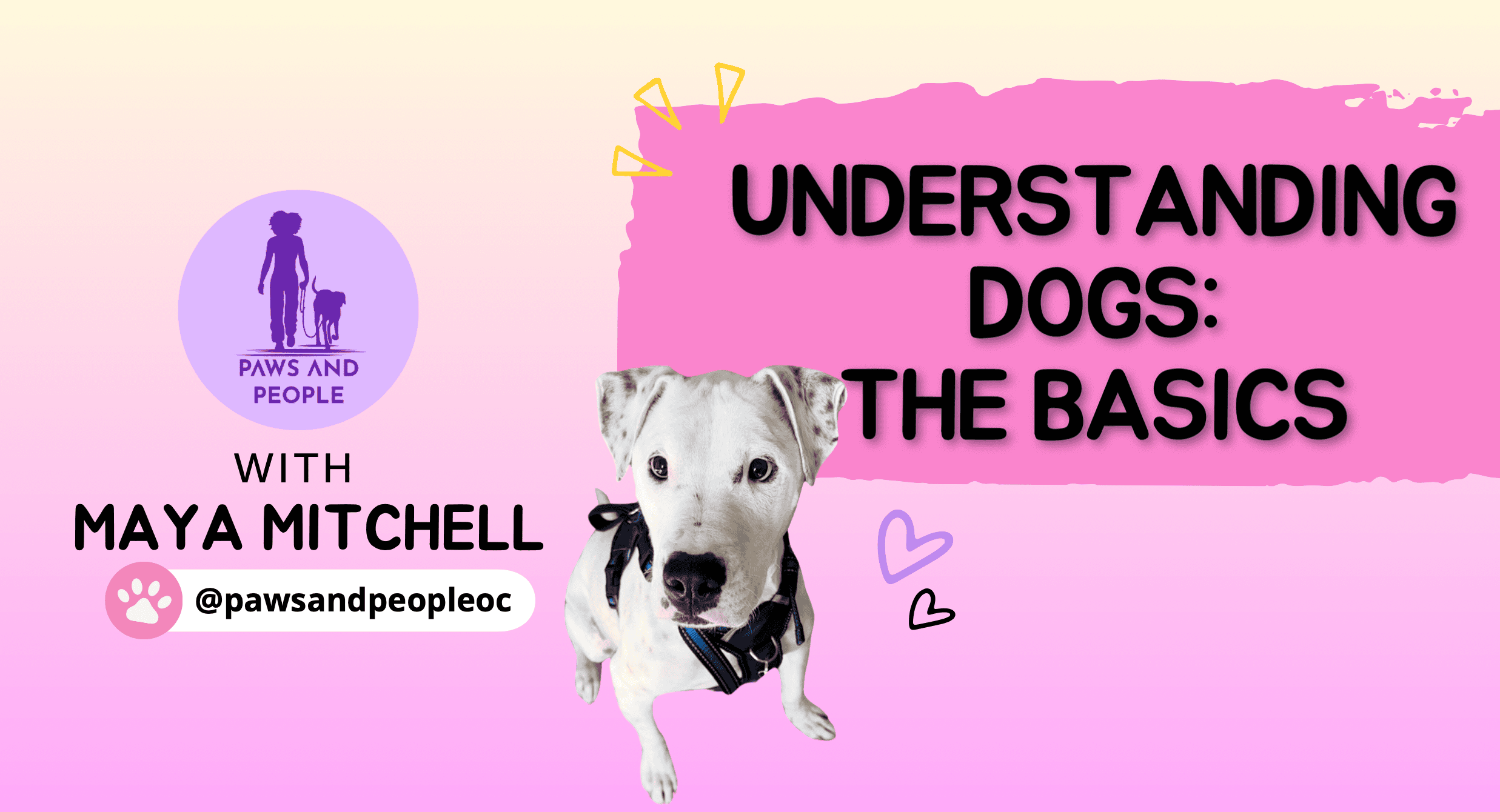 understanding dog basics course with maya mitchell (1)