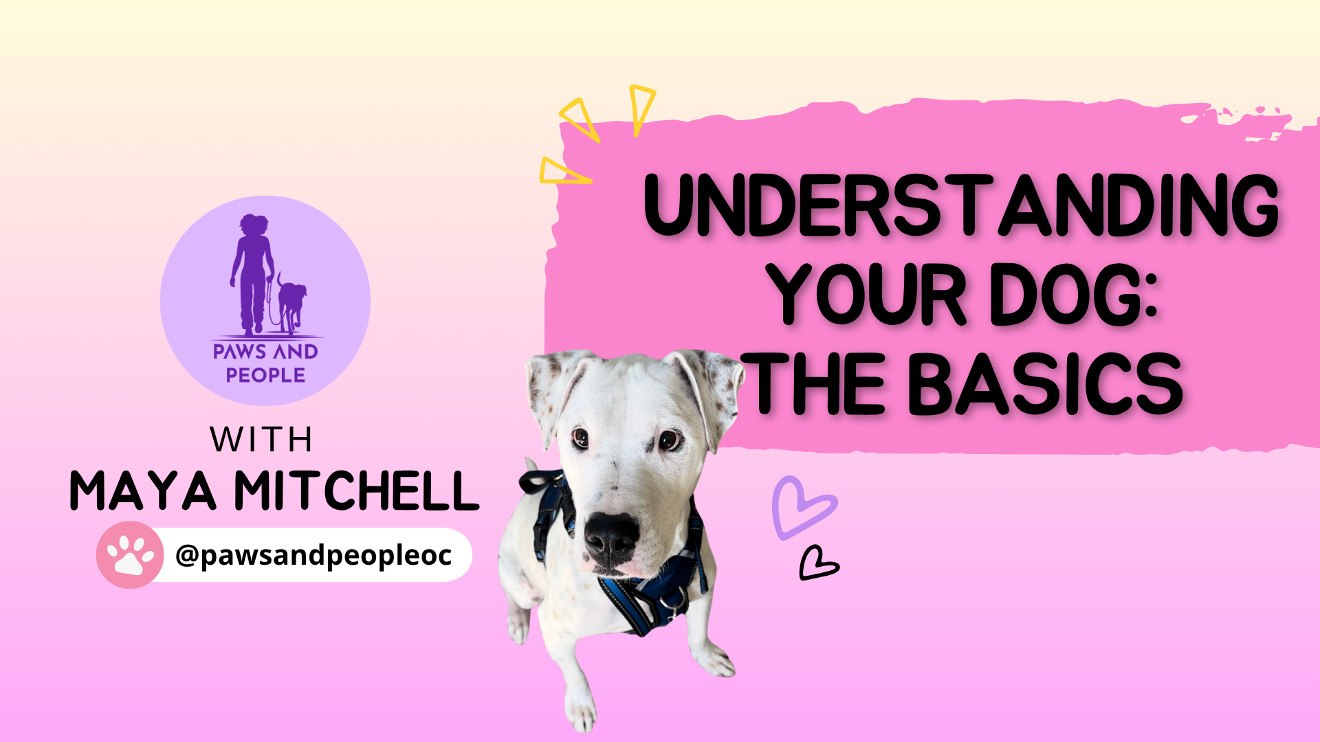 understanding dog basics course with maya mitchell (1)
